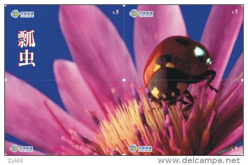 A02368 China phone cards Ladybug puzzle 40pcs