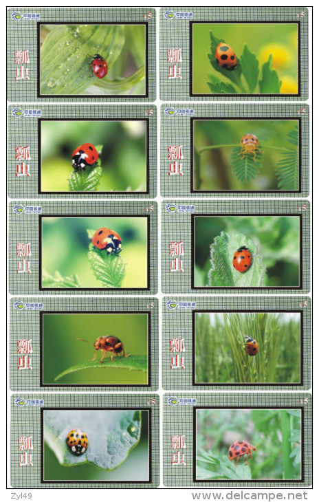 A02369 China Phone Cards Ladybug 80pcs - Coccinelles