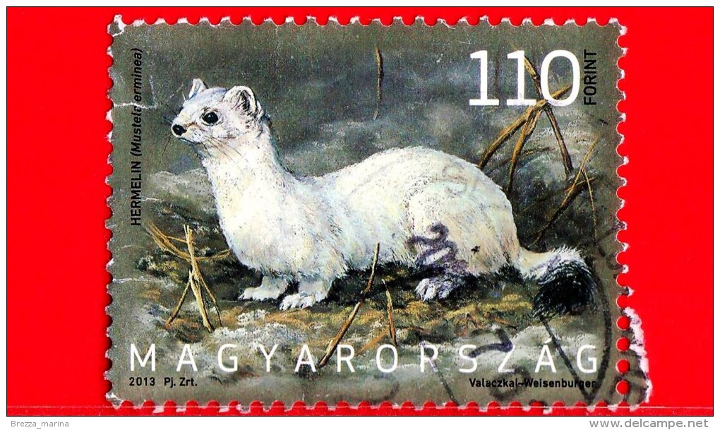 UNGHERIA - Magyar - 2013 - Usato - Fauna - Animali D´Ungheria - Animals - Ermellino -  110  Ft - Gebraucht