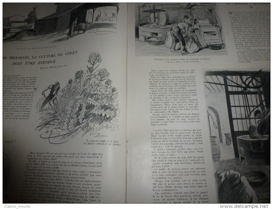 1941 Le Maréchal Et L'enfance; Le Colza-providence ; La Vie Des Moines Cistériens ; Ecole D'alpinisme Au Maroc - L'Illustration