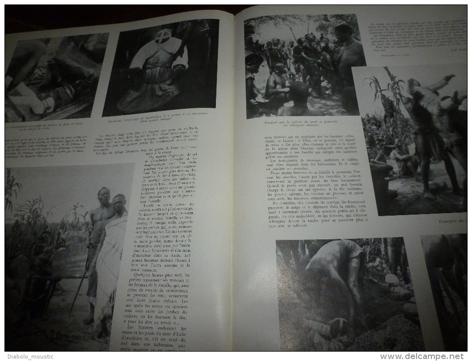 1941 Retour à la ferme ,en Touraine, de l'éléphant du cirque AMAR ; En Afrique noire; LUCHON Bibo ço qu'ey plan det païs