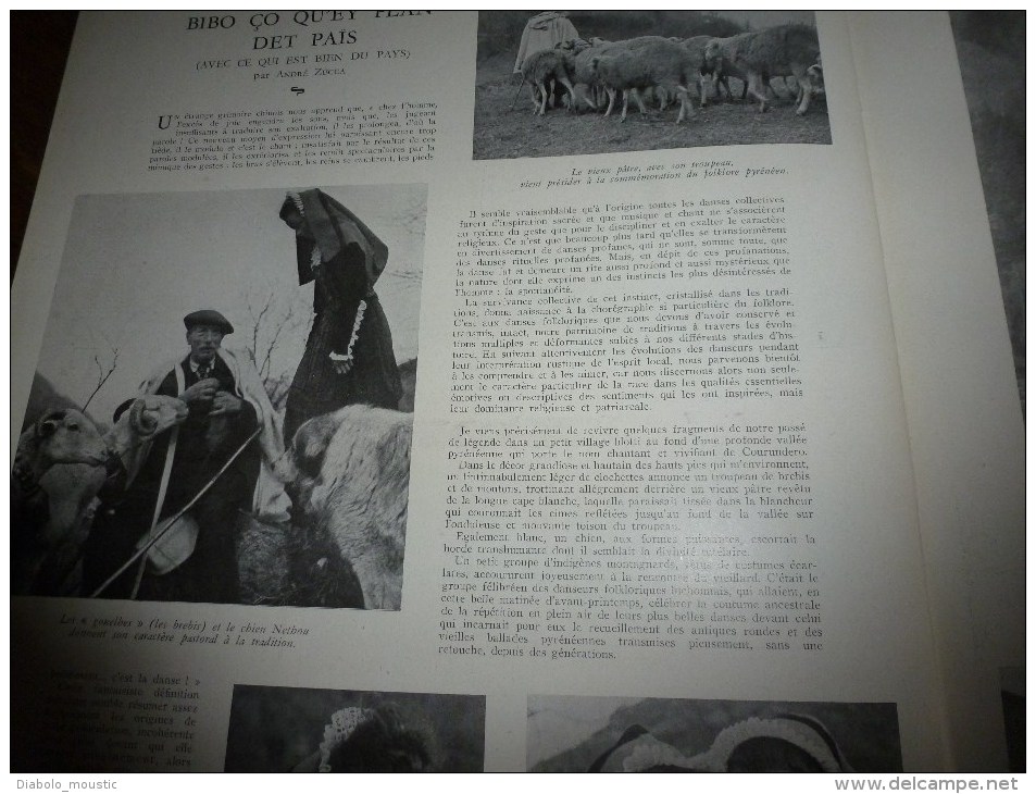 1941 Retour à la ferme ,en Touraine, de l'éléphant du cirque AMAR ; En Afrique noire; LUCHON Bibo ço qu'ey plan det païs