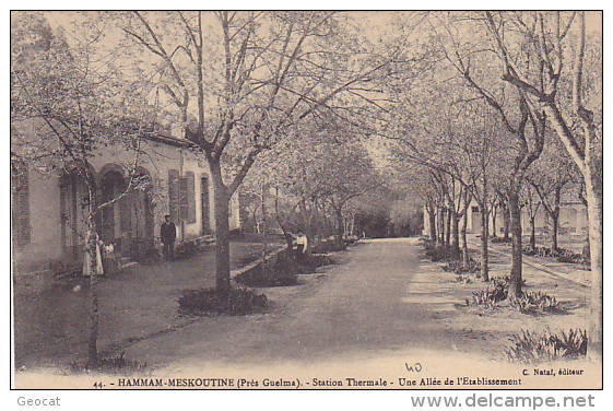 CPA ALGERIE HAMMAM MESKOUTINE Pres Guelma Une Allée De L´etablissement - Other & Unclassified