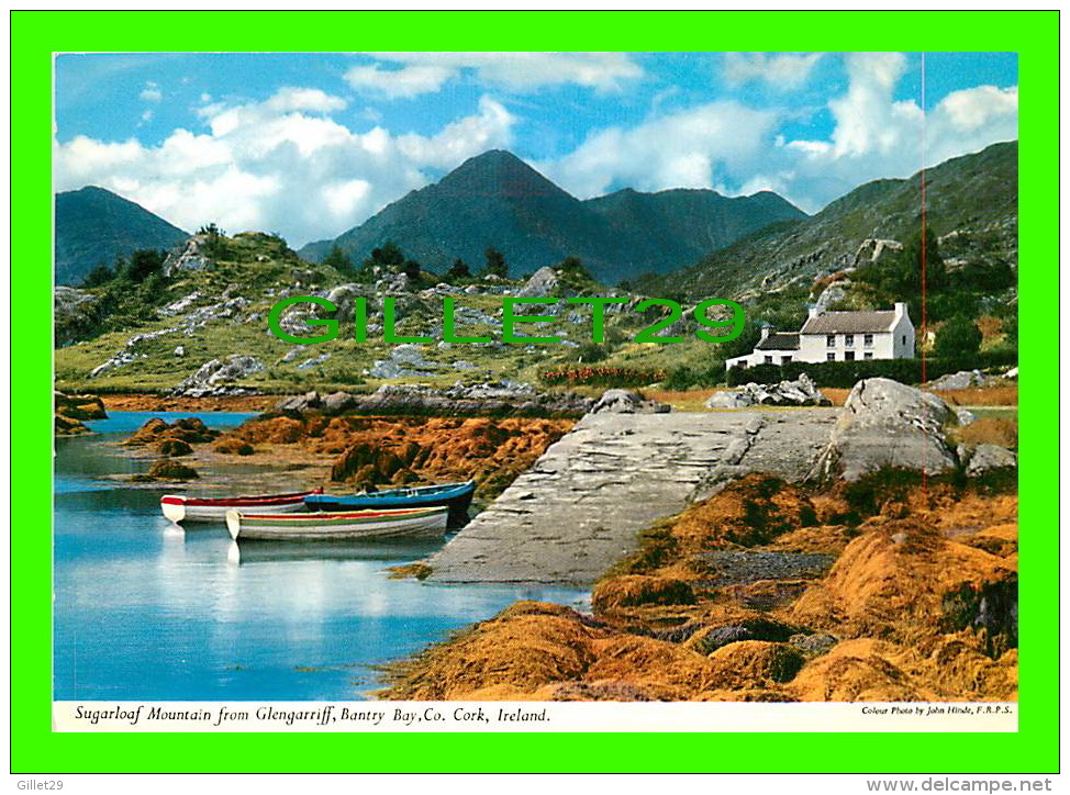 CORK, IRELAND - SUGARLOAF MOUNTAIN FROM GLENGARRIFF, BANTRY BAY CO - PHOTO, JOHN HINDE - - Cork