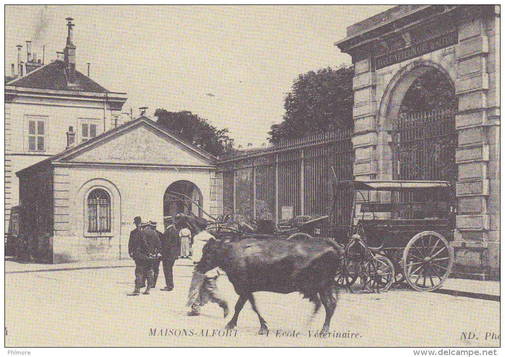 Ph-CPA Maisons Alfort D´Autrefois (Val De Marne) L'Ecole Vétérinaire - Maisons Alfort