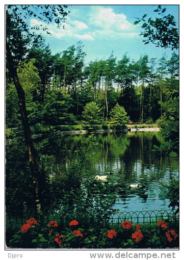 Zandhoven Park Met Vijver - Zandhoven