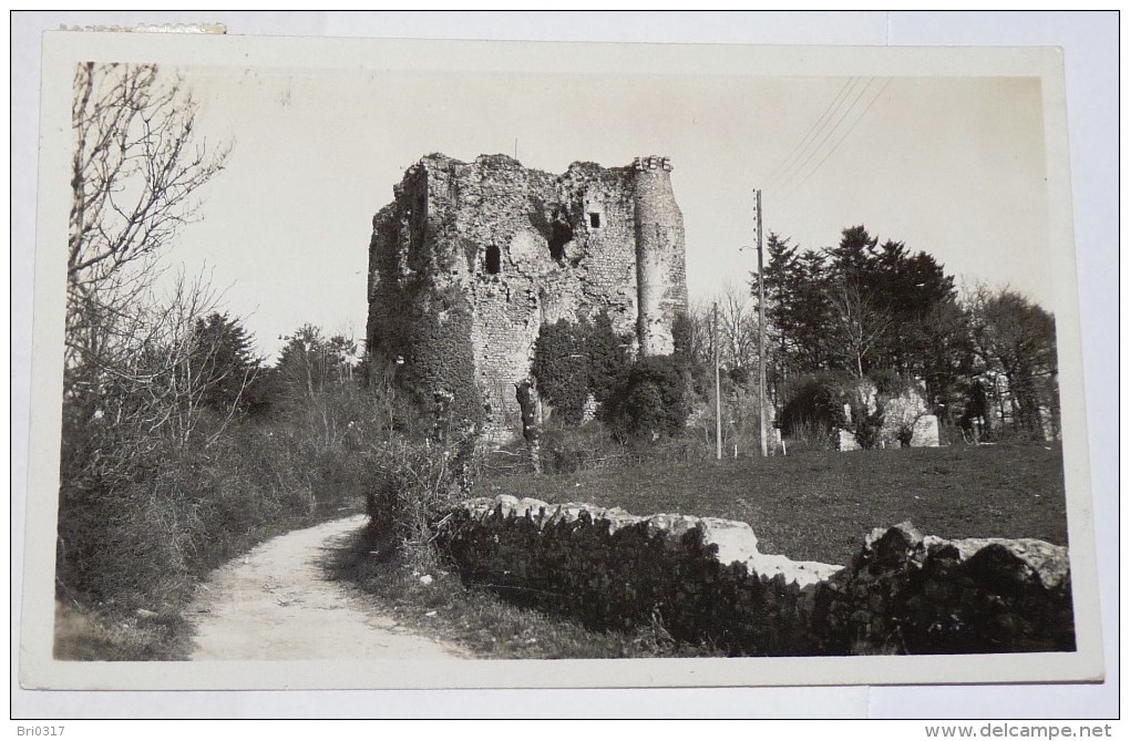 POUZAUGES  - CPSM 85 - Ruines Du Château Féodal De Gilles De Retz. Dit Barbe Bleue. - Pouzauges