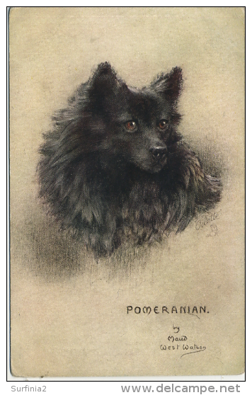 DOGS - POMERANIAN By MAUD WEST WATSON - Chiens