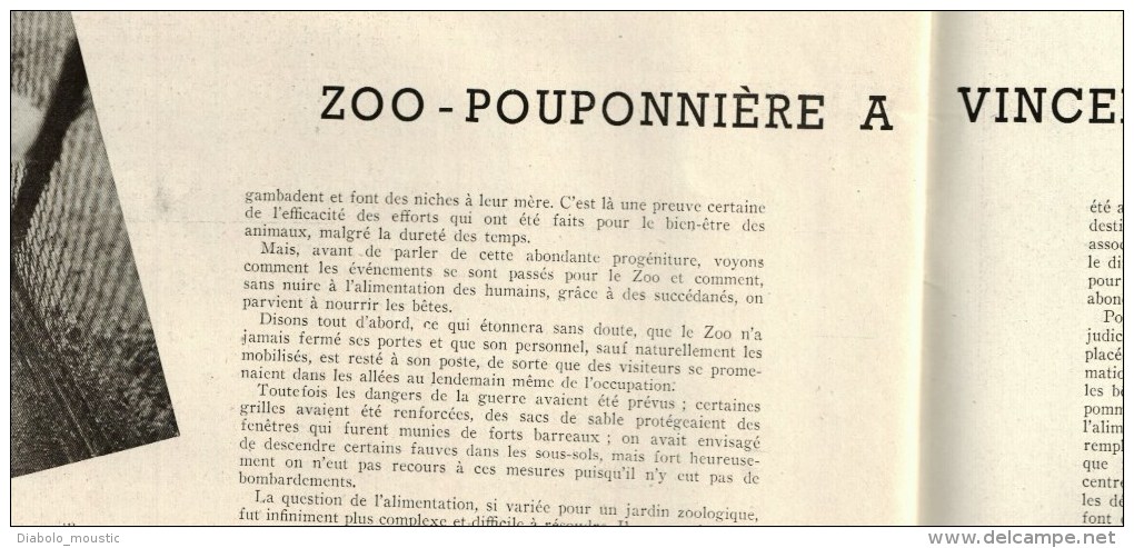 1941 BEYROUTH ; Usines à graines; SNCF vapeur et électrique ;Camp prisonniers français;  ZOO pouponnière