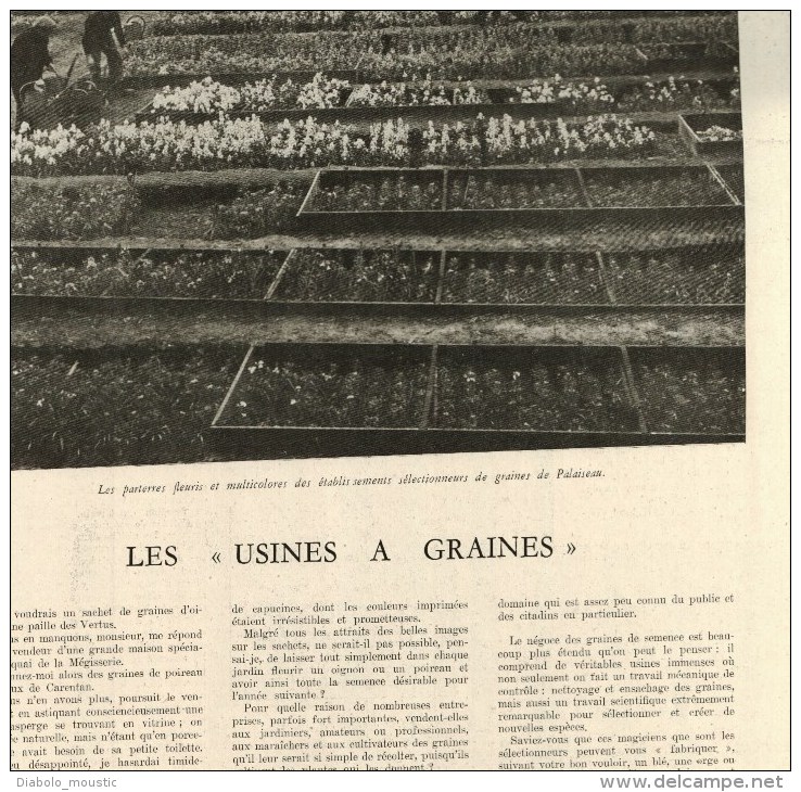 1941 BEYROUTH ; Usines à graines; SNCF vapeur et électrique ;Camp prisonniers français;  ZOO pouponnière