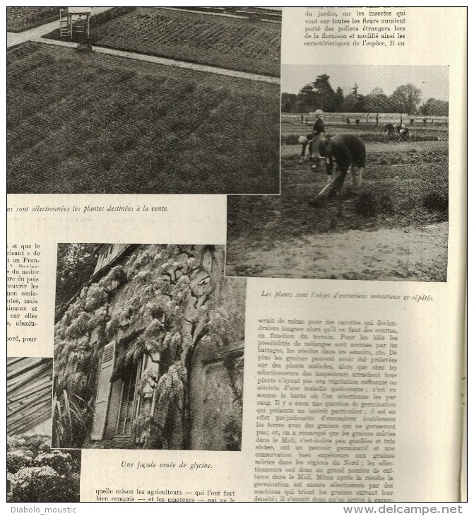 1941 BEYROUTH ; Usines à graines; SNCF vapeur et électrique ;Camp prisonniers français;  ZOO pouponnière