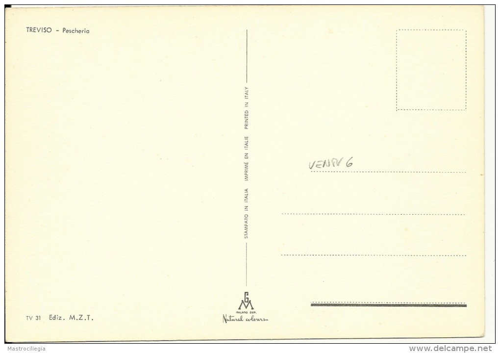 TREVISO  Fg - Treviso