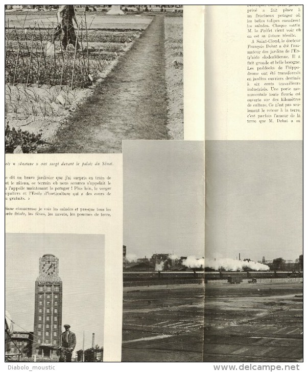 1941 Comment Planter Des Pommes De Terre Et Des Choux à Paris ; PETAIN ; Le 6eme B.C.A. Défile - L'Illustration