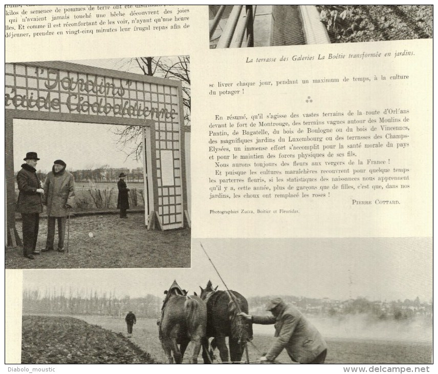 1941 Comment Planter Des Pommes De Terre Et Des Choux à Paris ; PETAIN ; Le 6eme B.C.A. Défile - L'Illustration