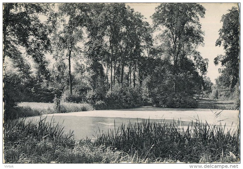 Evergem : Rijkstehuis Voor Schipperskinderen :  Een Hoekje Uit Het Park Met Vijver - Evergem