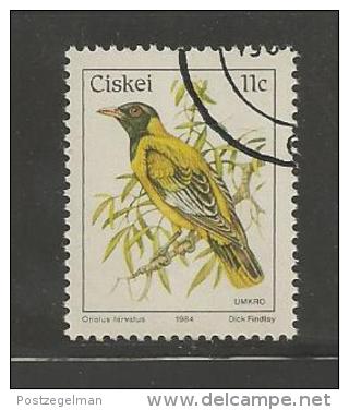 CISKEI 1984 CTO Stamp(s) Birds 56 #3330 - Other & Unclassified