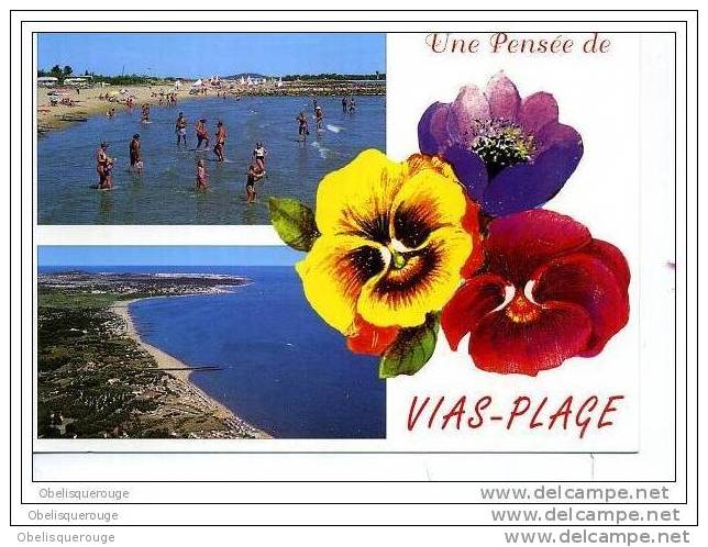 34 VIAS PLAGE VUE DE TRES HAUT  2 VUES   VERS 2002 ANIMATION - Autres & Non Classés