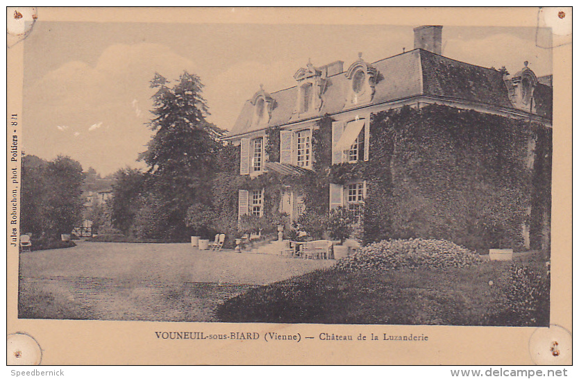 22512 VOUNEUIL SUR VIENNE - Château De La Luzanderie -jules Robuchon 821? Poitiers ! état Trous ! - Vouneuil Sous Biard