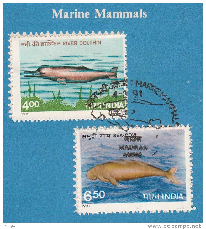 Stamped Information  On Marine Mammals, Set Of 2, Dolphin, Sea Cow,  India 1991, - Delfines