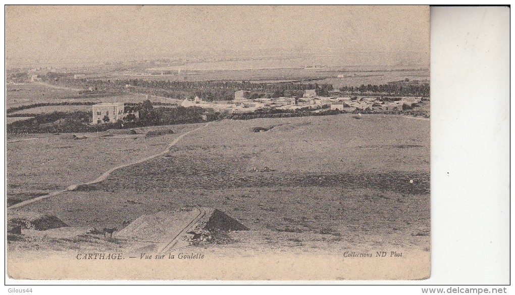 Carthage Vue Sur La Goulette - Tunisie