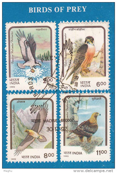 Stamped Information On Birds Of Prey, Eagle. Vulture, Osprey, Falcon. Bird, India 1992 - Eagles & Birds Of Prey