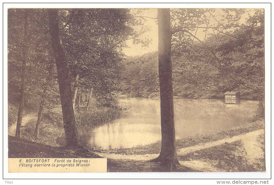 WATERMAEL - BOITSFORT  -  Forêt De Soignes - Propriété Wiener - Watermaal-Bosvoorde - Watermael-Boitsfort