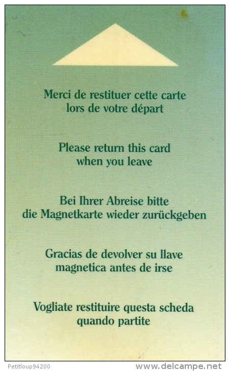 CLE D'HOTEL  Non Identifiée - Hotel Key Cards
