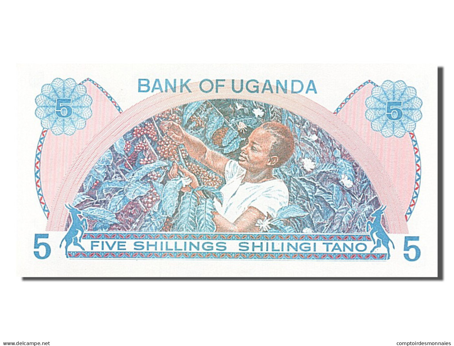 [#254269] Ouganda, 5 Shillings, Type 1979 - Ouganda