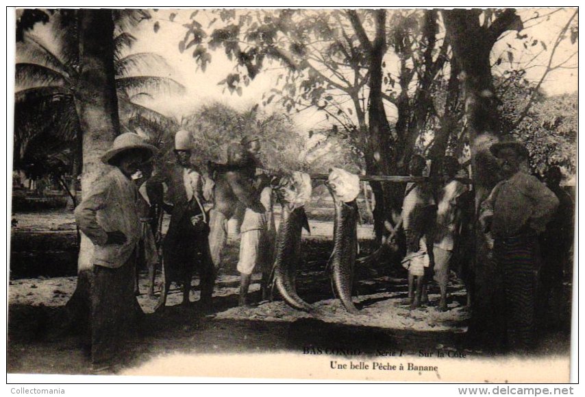 CONGO  BELGE, Fishing & Hunting, 3 Odl Postcards,  Chasse Au Hippo, Banana Fishery , Elephants, Poste Api  Uele - Belgian Congo