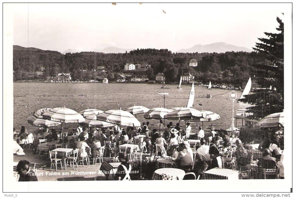 AK 837  Velden Am Wörthersee - Mösslacherterrasse / Motiv Um 1940 - Velden