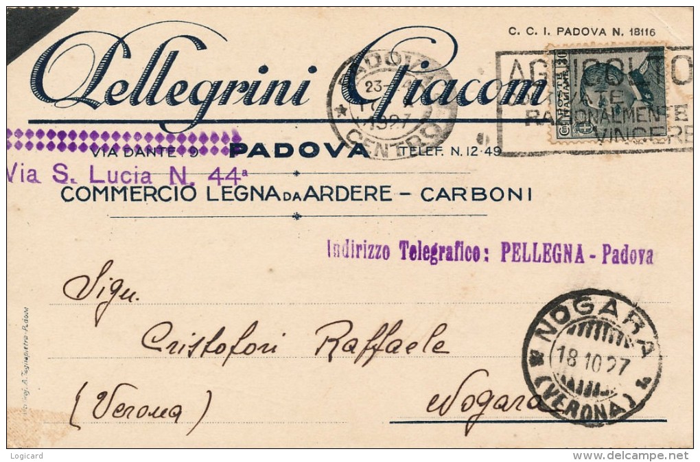 PADOVA - COMMERCIALE PELLEGRINI GIACOMO COMMERCIO IN LEGNA E CARBONE 1927 - Padova (Padua)