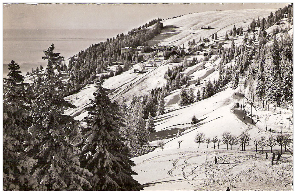 PostkaartZwitserland  B 5 Rigi-Kaltbad - Altri & Non Classificati
