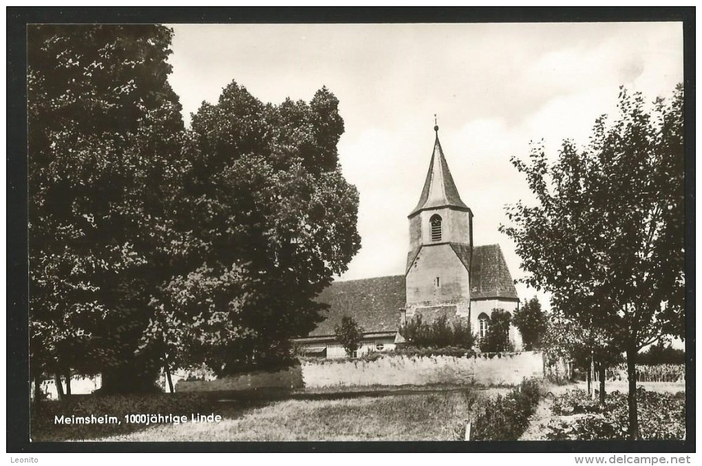 MEIMSHEIM 1000jährige Linde Brackenheim Heilbronn - Heilbronn