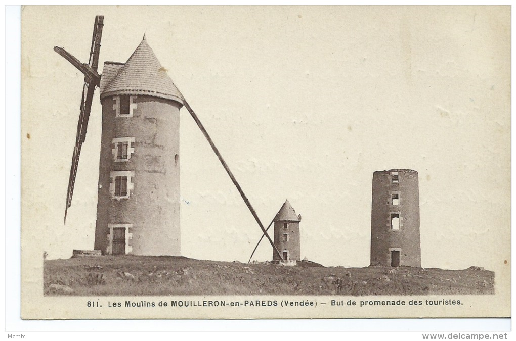 CPA- Les Moulins De Mouilleron En Pareds : But De Promenade Des Touristes - Mouilleron En Pareds