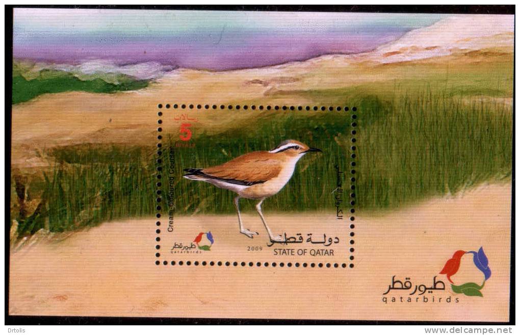 QATAR / 2009 / BIRDS / VOGEL / 12 MNH STAMPS + MS / 9 SCANS . - Qatar