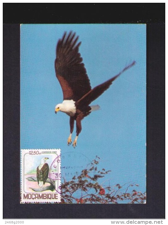 MOZAMBIQUE 1980 Animals Faune Fauna Animaux Oiseaux Birds Aves Passereaux FISH EAGLE Carte Maximum Cards Mc384 - Eagles & Birds Of Prey