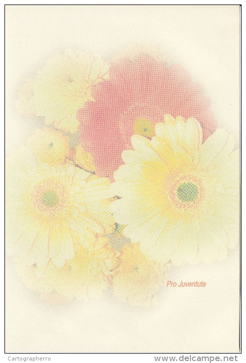 Flowers Flower Fleurs Pro Juventute Blumen Greeting Card Not Postcard 2scans 14 - Otros & Sin Clasificación