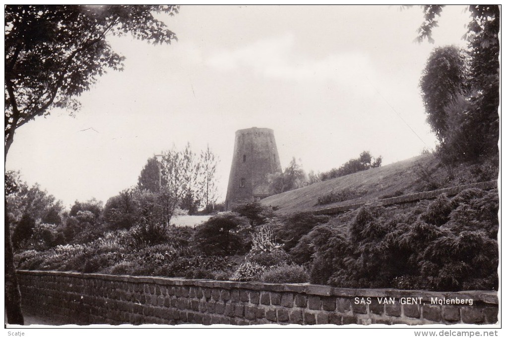 SAS VAN GENT, Molenberg;  FOTOKAART Met  Romp  MOLEN - Sas Van Gent