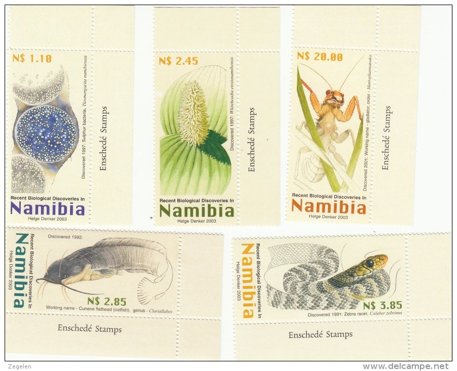 Namibië 1097/1101*** Recent Ontdekte Dieren Cat 10.50 Euro - Namibie (1990- ...)