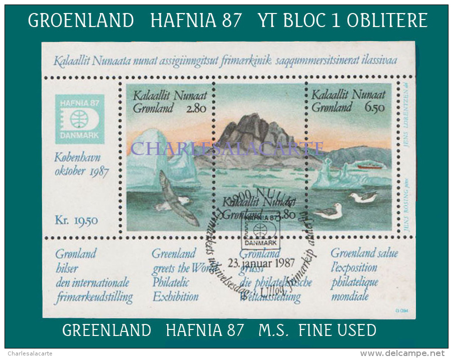 GREENLAND 1987 HAFNIA M.S.  FACIT BL 1 FINE USED - Blocks & Sheetlets