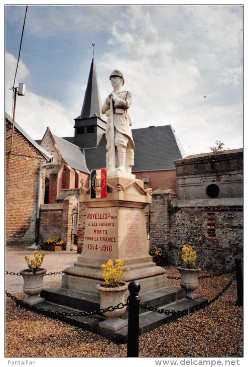 80.  NOYELLES.   LE MONUMENT AUX MORTS.   TRES GROS PLAN.   EXEMPLAIRE UNIQUE. - Noyelles-sur-Mer