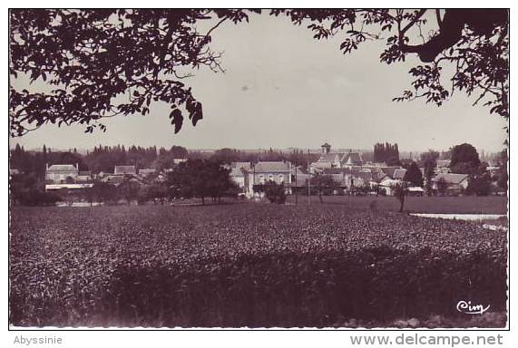 Cpsm 86 ST GERVAIS LES TROIS CLOCHERS - Vue Générale - Combier - D16 117 - Saint Gervais Les Trois Clochers