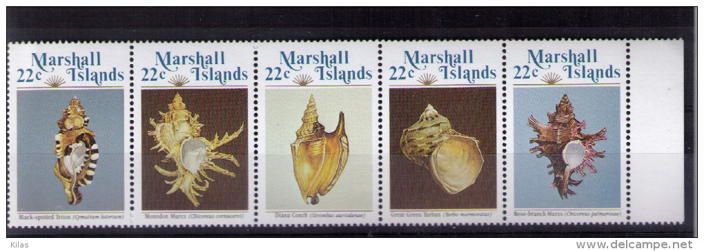 MARSHALL ISLANDS Shells - Islas Marshall