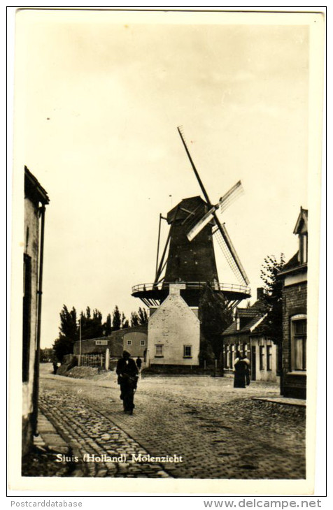 Sluis - Molenzicht - & Windmill - Sluis