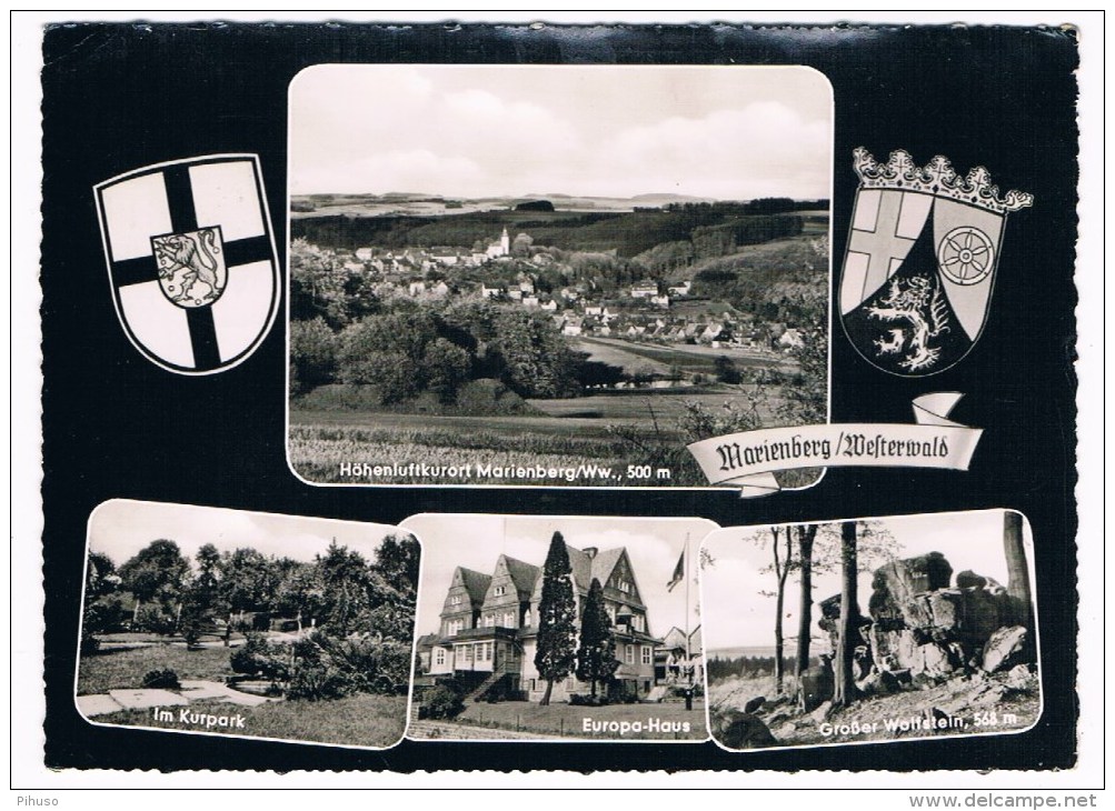 D4423      BAD MARIENBERG : Multiview - Bad Marienberg