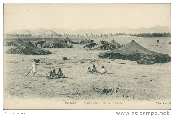 ALGERIE  BISKRA / Campement De Nomades / - Biskra