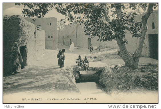 ALGERIE  BISKRA / Un Chemin De Bab-Dab / - Biskra