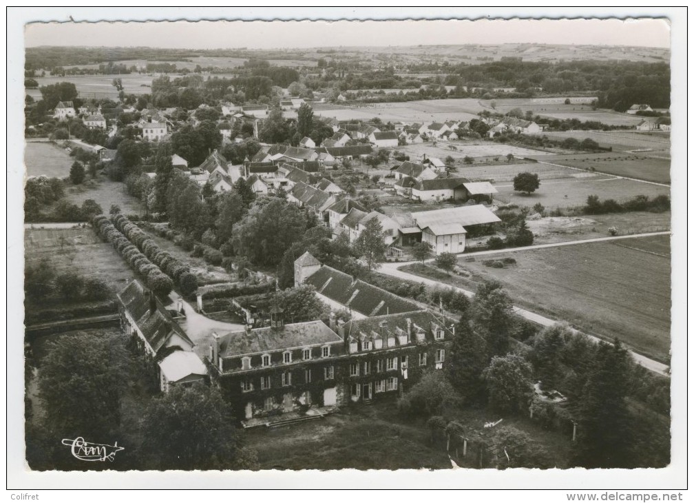 89 - Gurgy         Vue Aérienne Générale Et Le Château - Gurgy