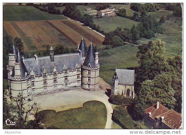Cpsm 86 GENCAY - Vue Aérienne Du Château De La Roche - D2 9a - Gencay