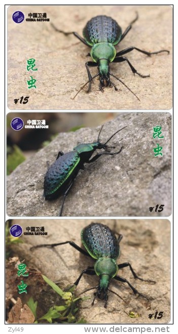 A02408 China Phone Cards Insect 143pcs - Other & Unclassified